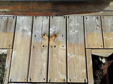 Savon WBC (Wood Brightener/Cleaner) - Teintures Calfeutrants St-Tite